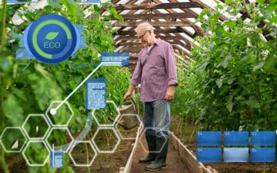 Enabling AI led Pest Management Practices in Agriculture